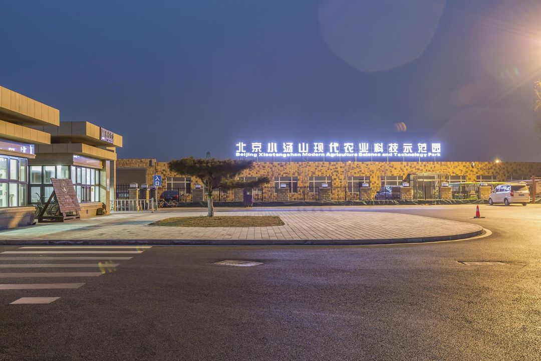 北京玫瑰酒店