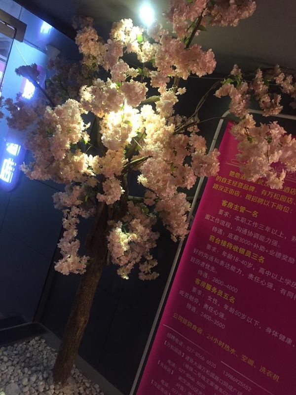 苏宁雅悦酒店(南京河西万达广场苏宁慧谷店)