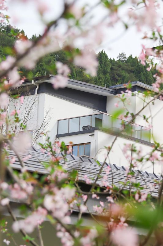 千岛湖福朋喜来登酒店