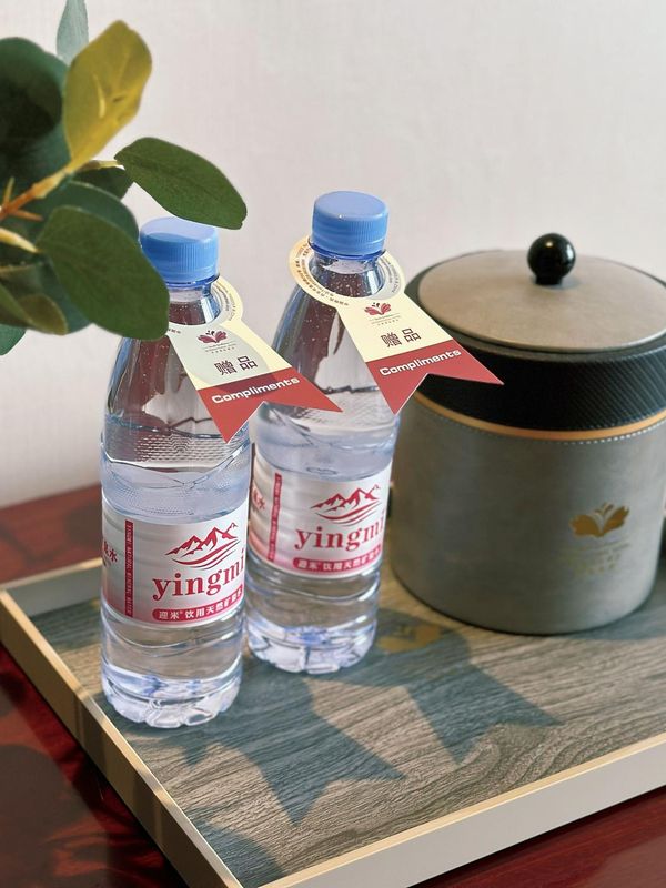 丽晶世纪酒店(洒金桥地铁站店)