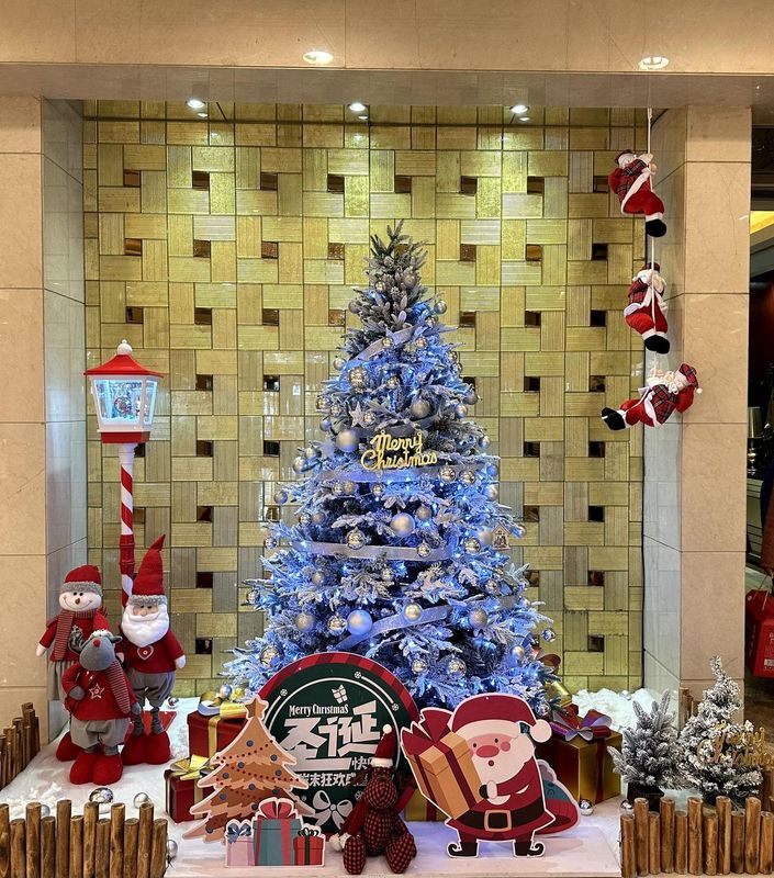 丽晶世纪酒店(洒金桥地铁站店)