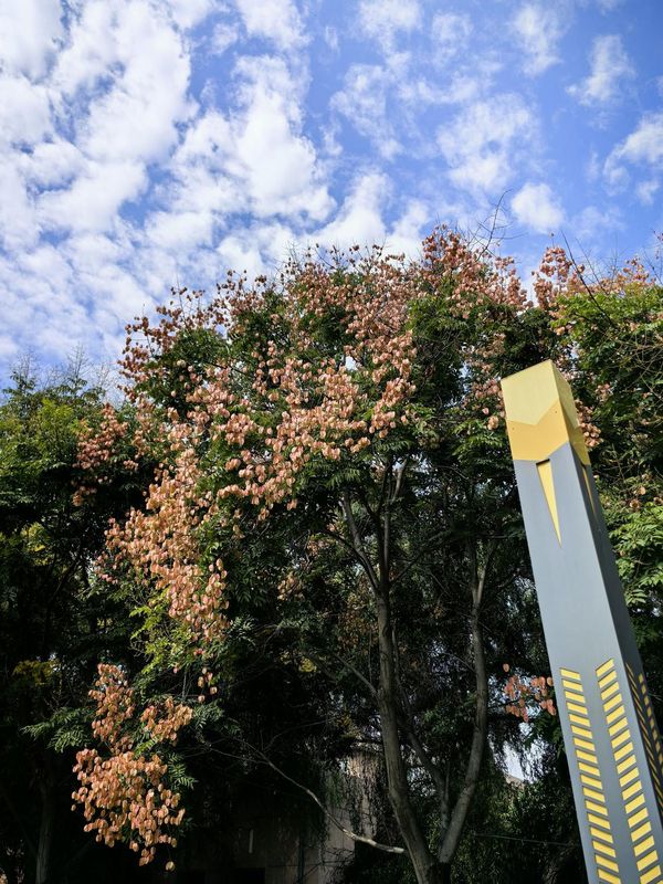 兰州西北师大国际学术交流中心