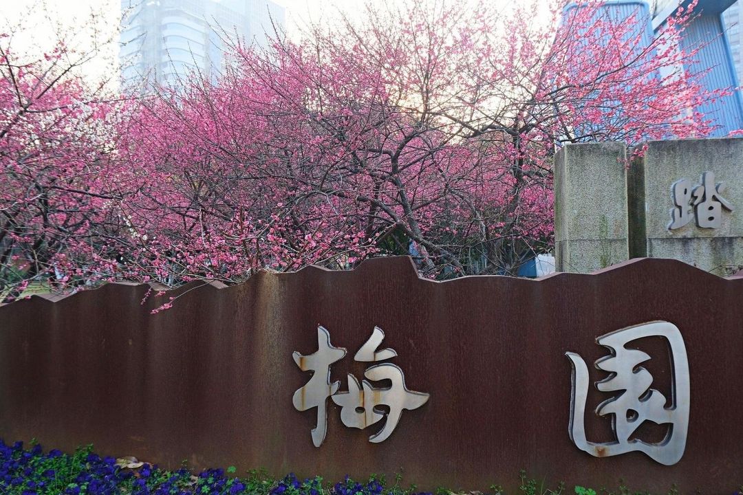 泊宁酒店(宁波东部新城会展店)