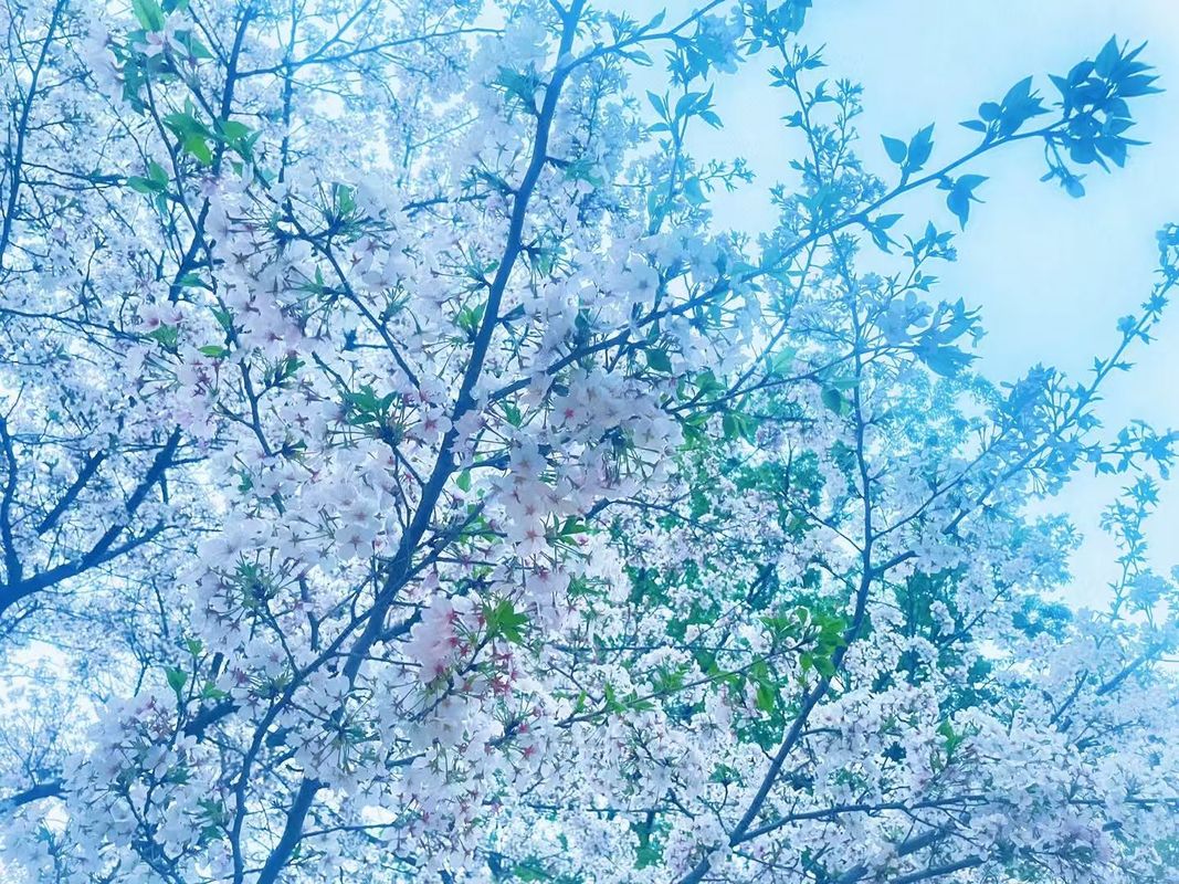 绍兴鱼得水大酒店
