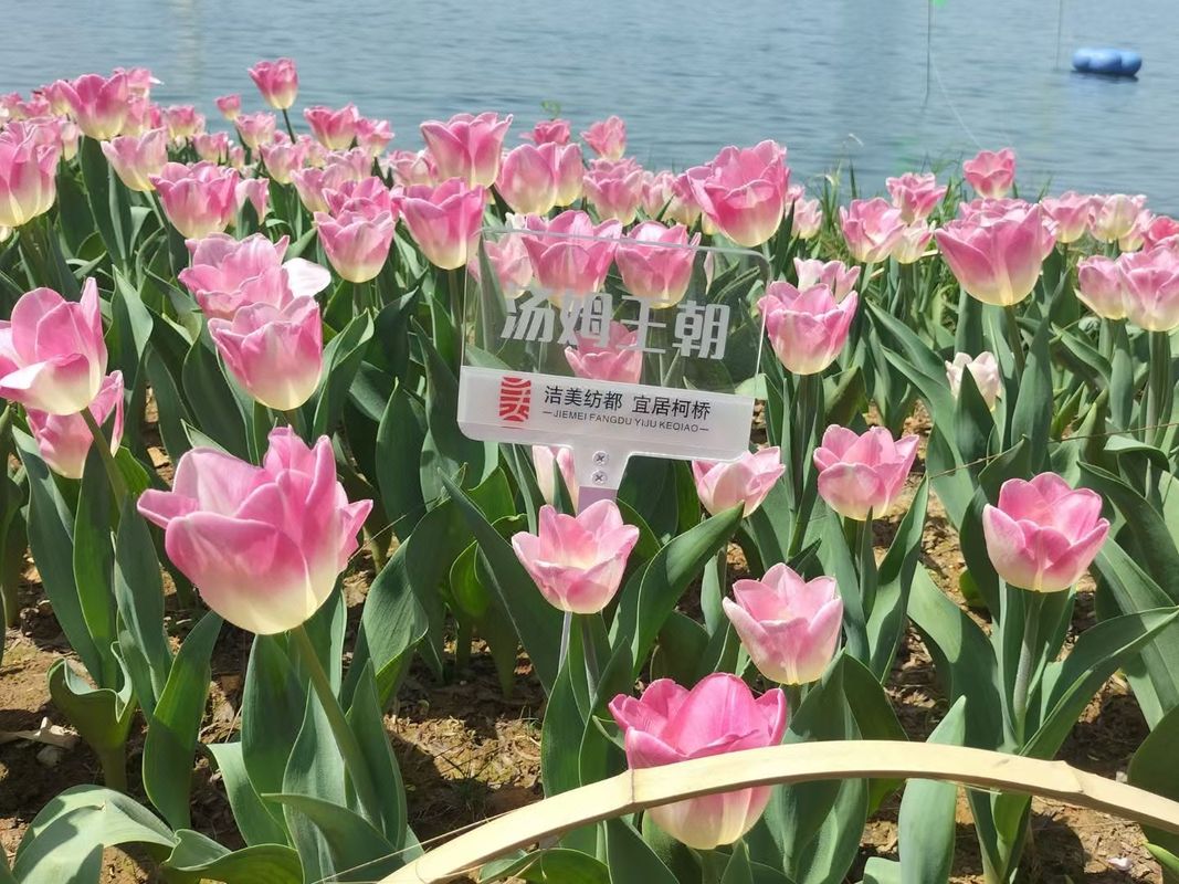 绍兴鱼得水大酒店