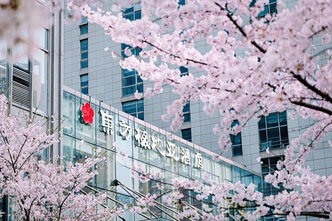 青岛东方梅地亚酒店(黄岛金沙滩店)