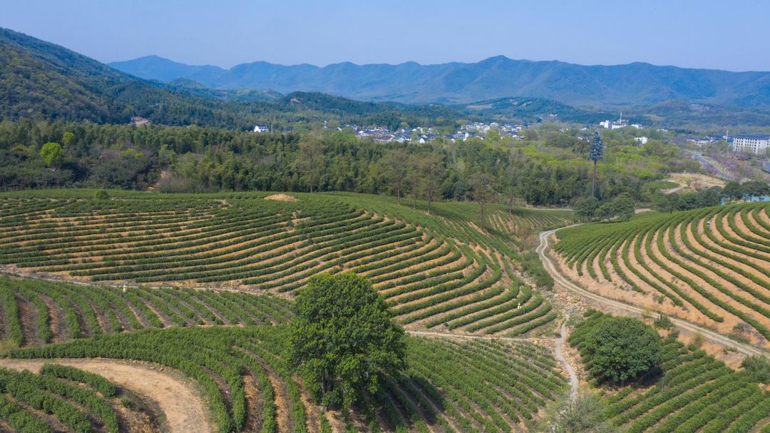 宜兴雅达溪山&middot;凯悦臻选酒店