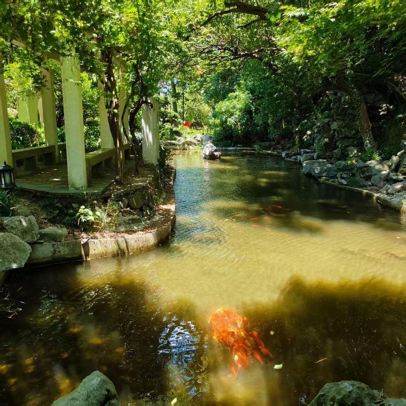 杭州富阳龙山雷迪森维嘉酒店