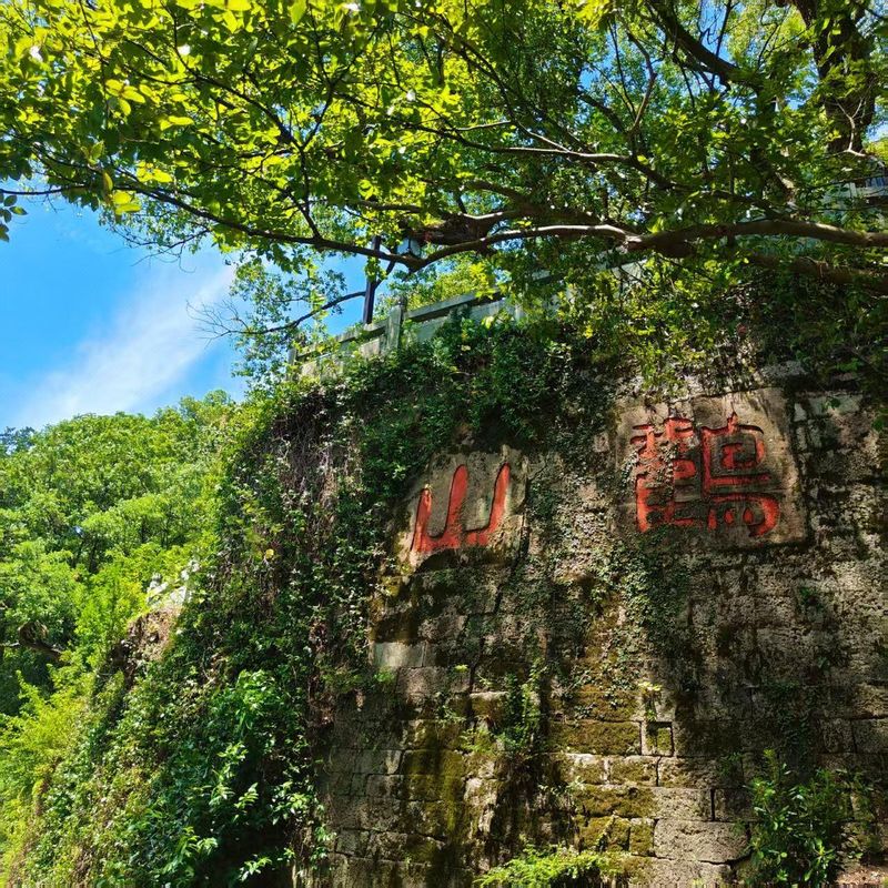 杭州富阳龙山雷迪森维嘉酒店