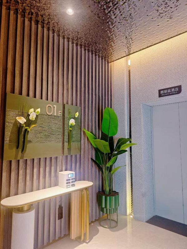 朗丽兹酒店(北京大兴国际机场航站楼店)
