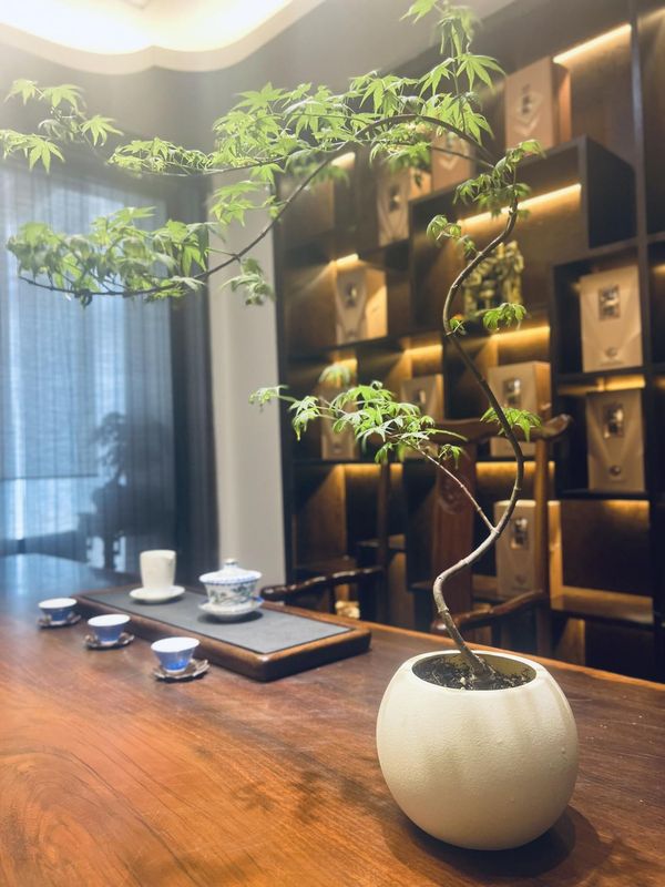 南京新街口五台山优逸酒店
