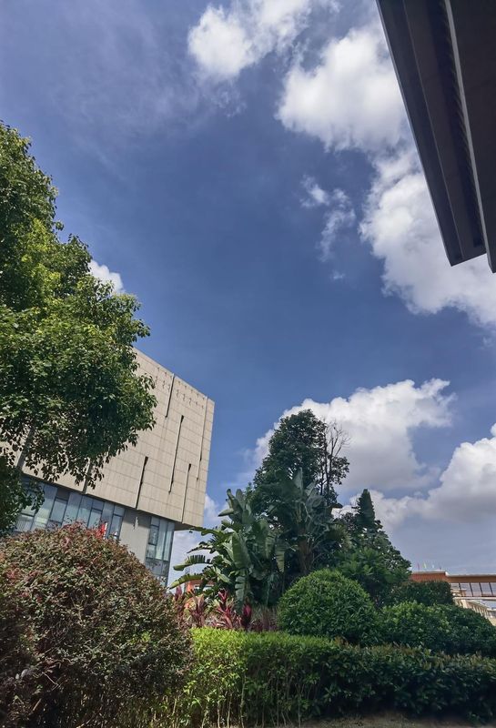 东莞厚街榕树国际酒店