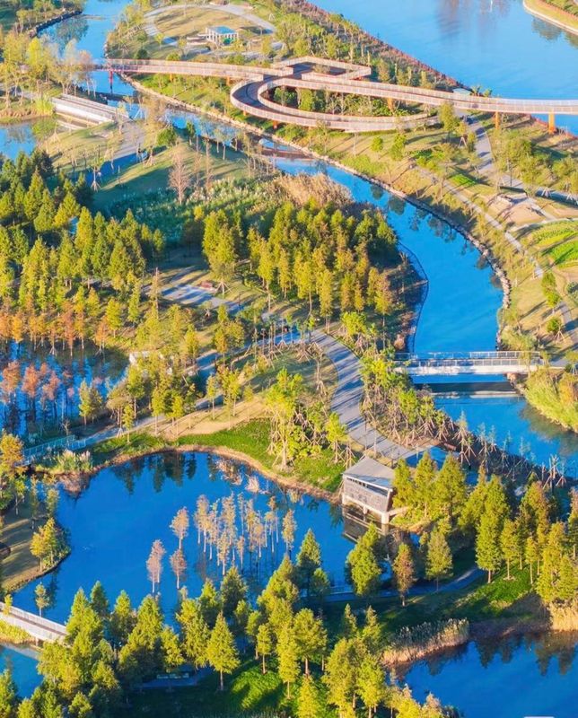 桔子水晶上海金桥酒店
