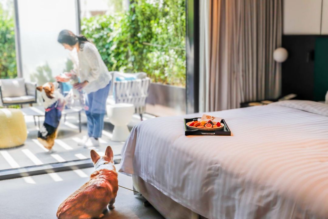 北京首钢园香格里拉酒店