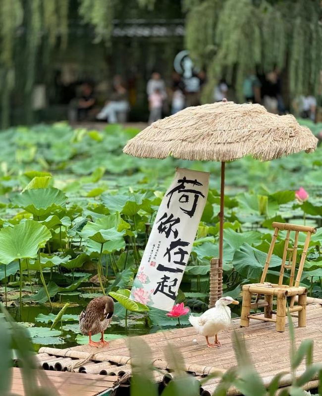 昆明火车站希尔顿欢朋酒店