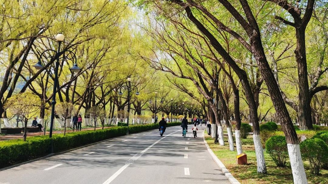沈阳东北大学国际学术交流中心