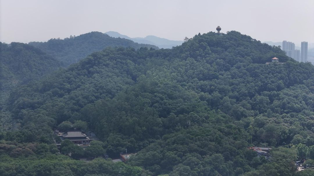 东莞东城国际酒店