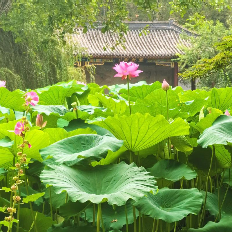 北京万寿宾馆