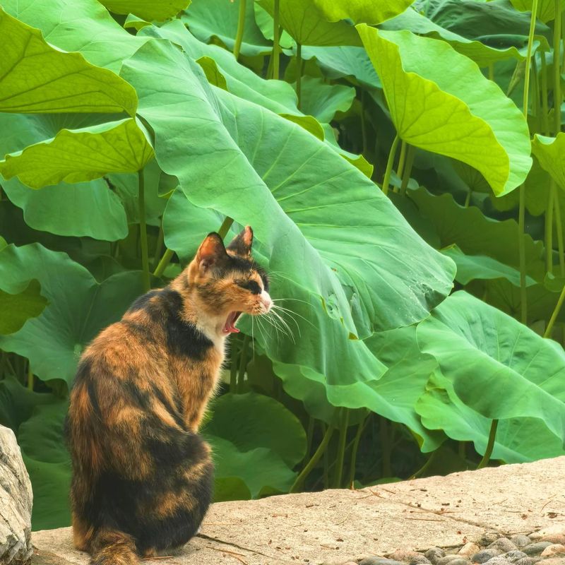 北京万寿宾馆