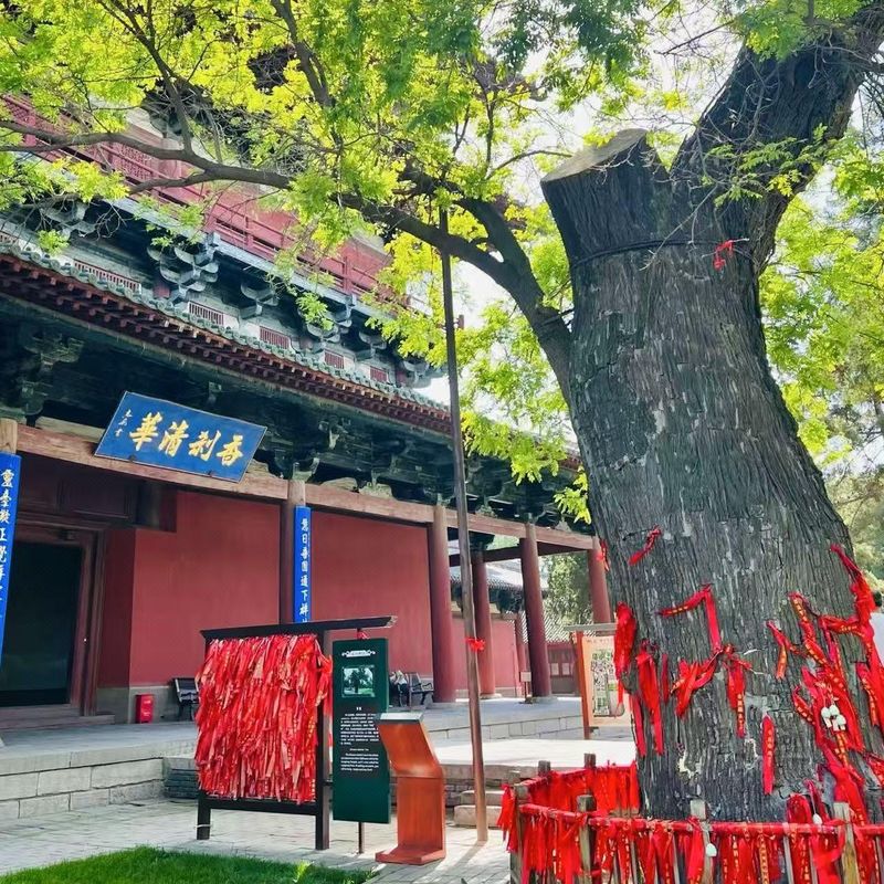 建国璞隐酒店(石家庄正定古城店)