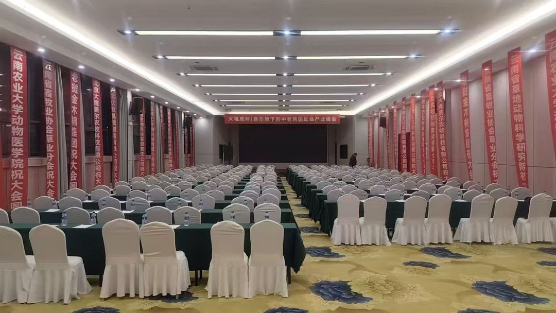 昆明东方丽致酒店(云南省博物馆官渡古镇店)