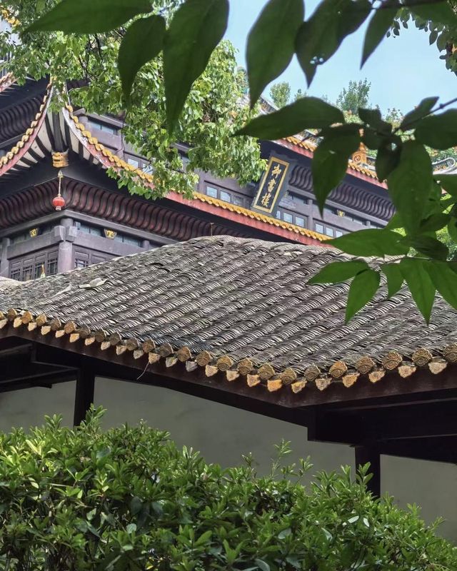 桔子长沙岳麓山橘子洲江景酒店