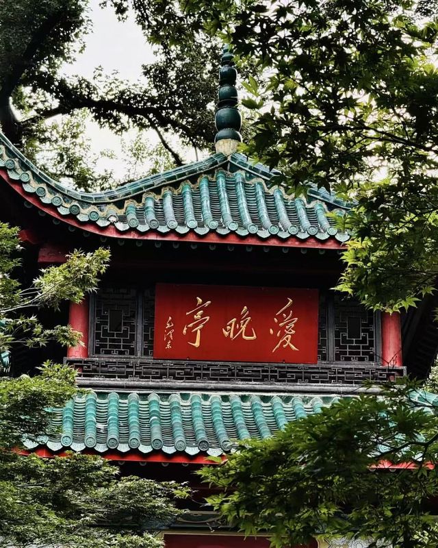 桔子长沙岳麓山橘子洲江景酒店