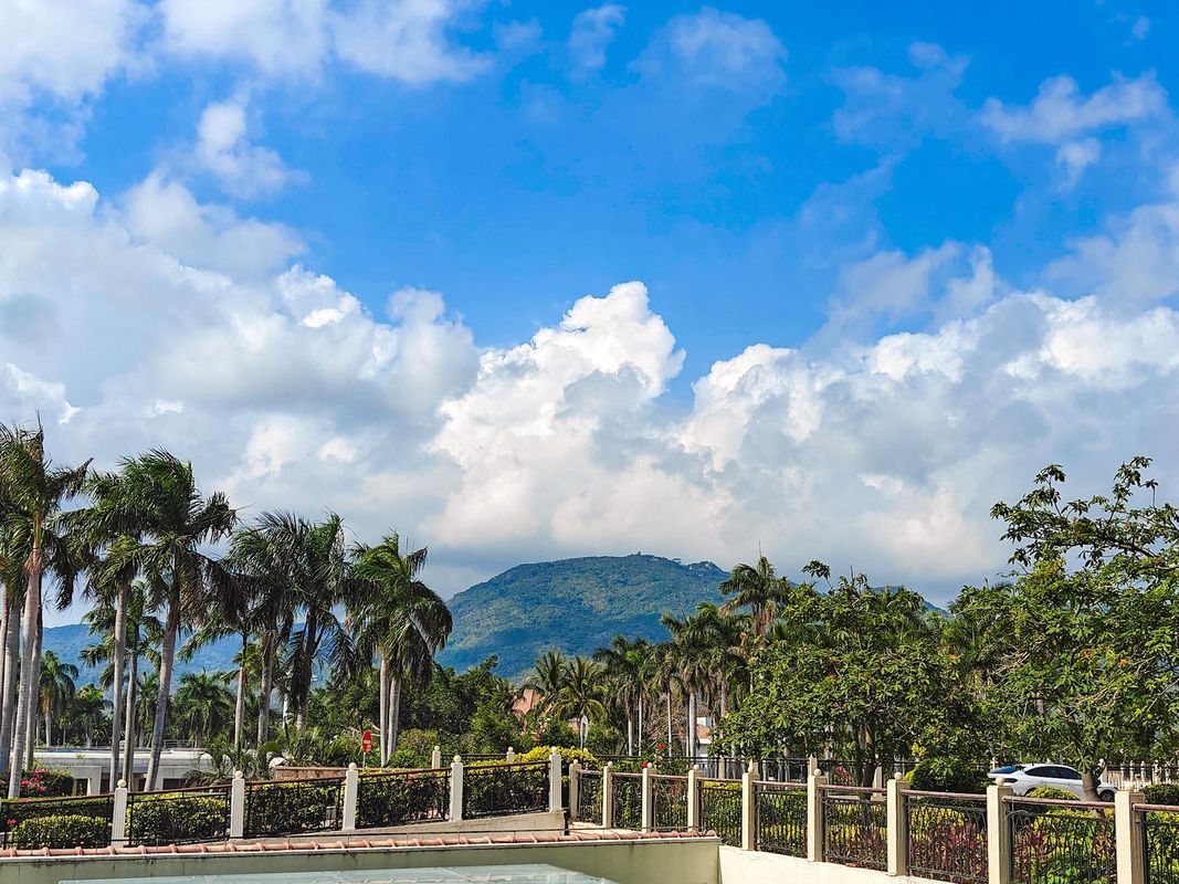 雅致景观大床房
