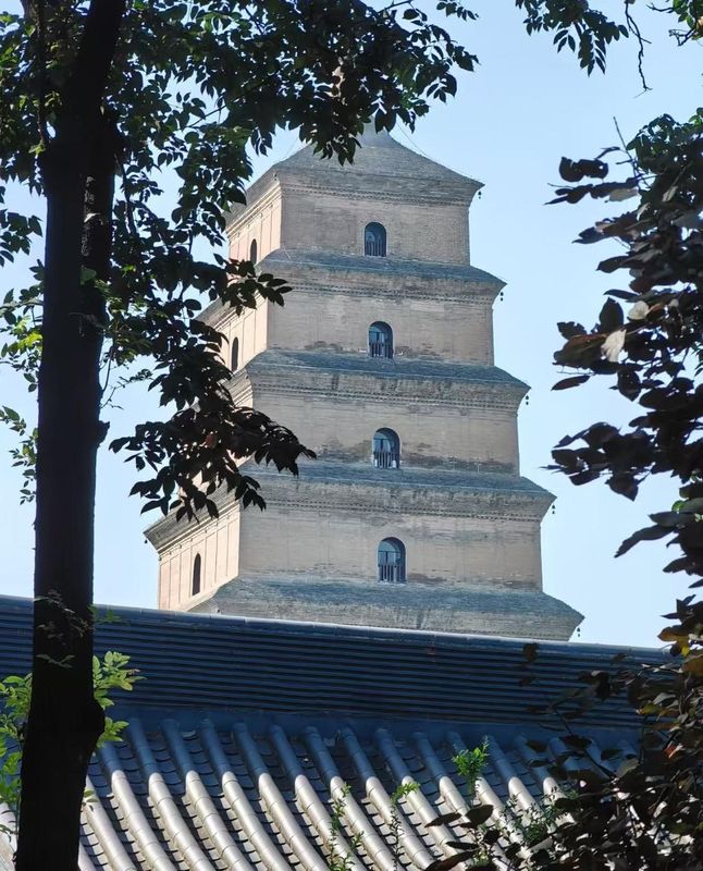 西安曲江惠宾苑宾馆(大雁塔大唐不夜城店)