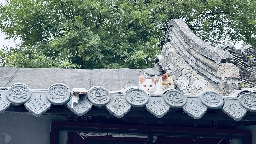 北京王府井绿发智选假日酒店