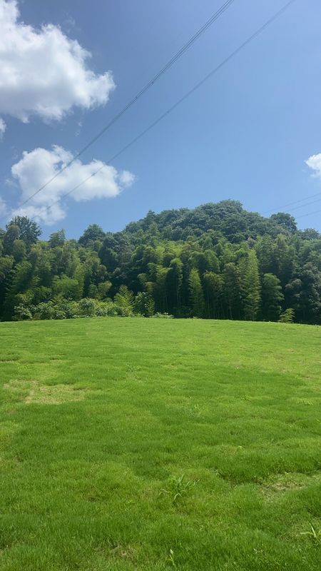 杭州西坞雷迪森庄园