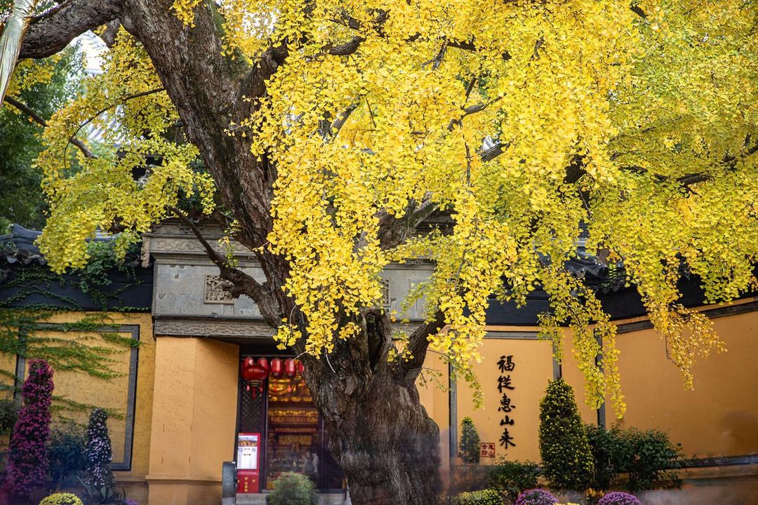 无锡城中皇冠假日酒店