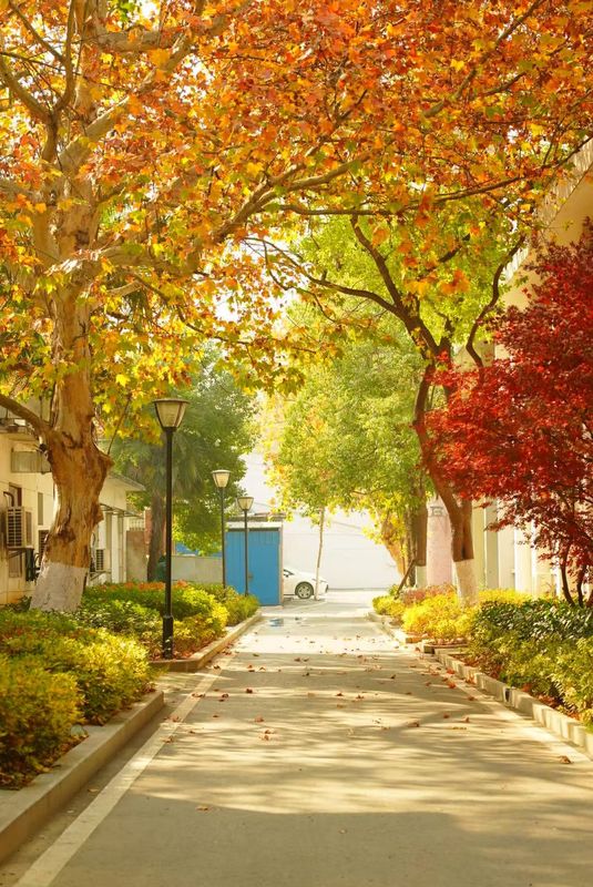 武钢宾馆(武汉高铁站科技大学青山校区店)