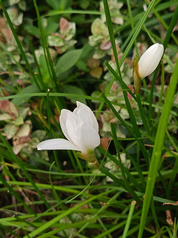 和颐至尚酒店(宁波天一广场老外滩店)