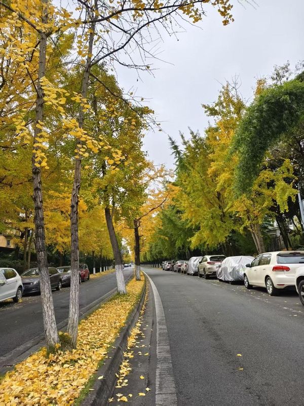 成都星瑞美丽华酒店(电子科技大学百草路地铁站店)