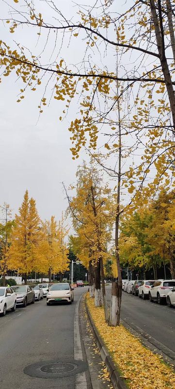 成都星瑞美丽华酒店(电子科技大学百草路地铁站店)