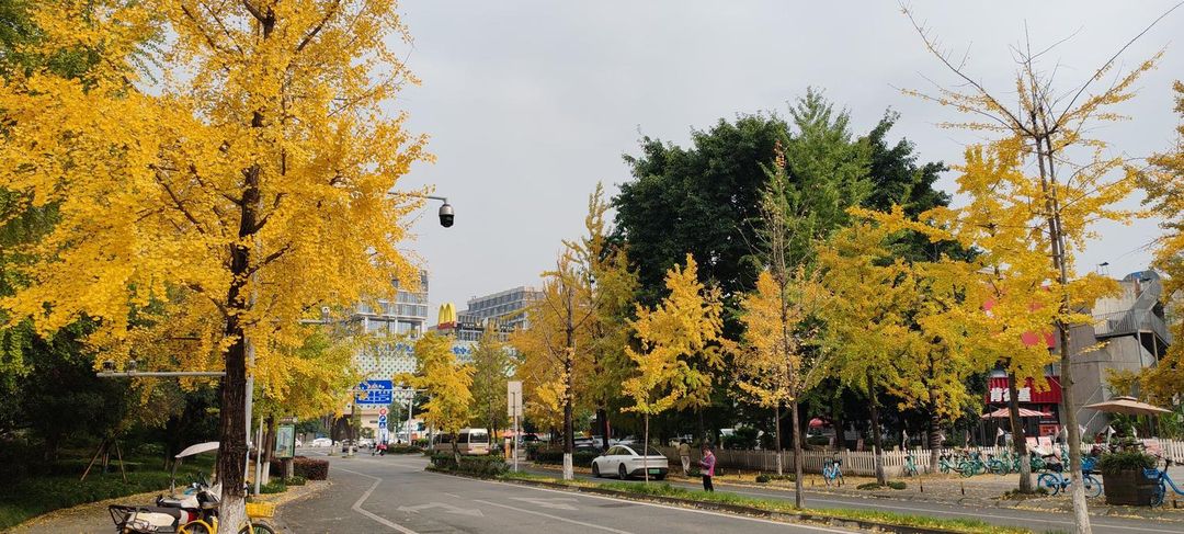 成都星瑞美丽华酒店(电子科技大学百草路地铁站店)