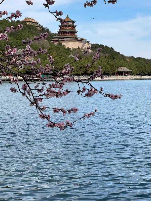 北京四季御园国际大酒店