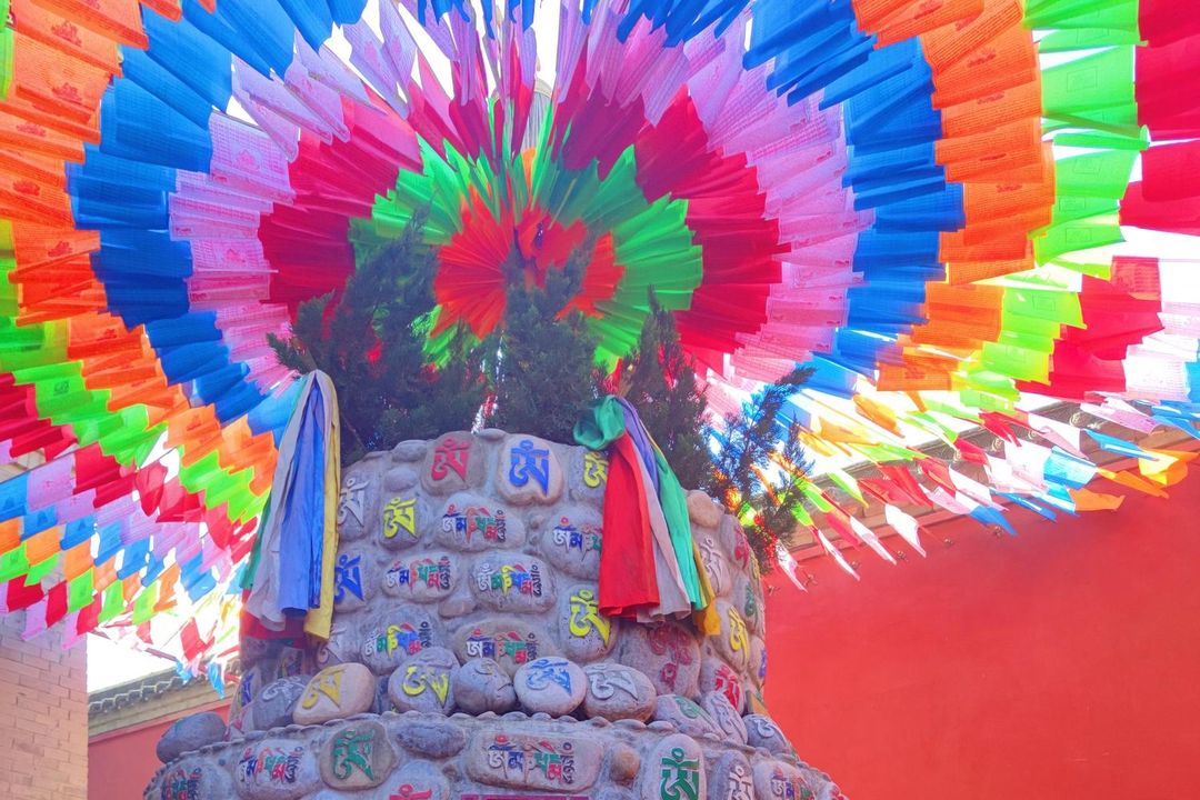 西安城墙智选假日酒店(洒金桥美食街店)