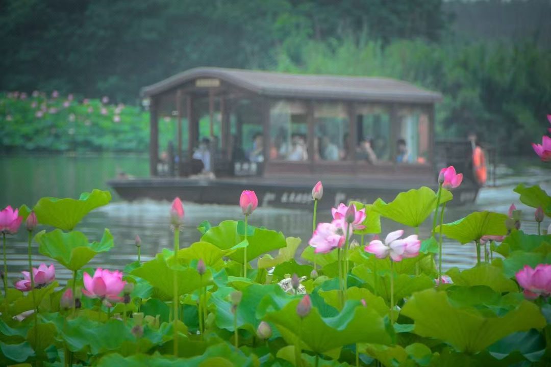 常熟沙家浜芦荡水韵漫心府