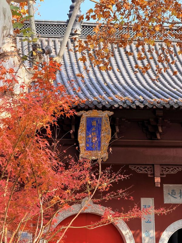 南京仙林中心金鹰广场亚朵酒店