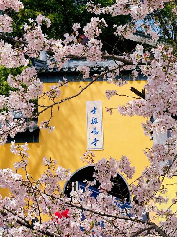 江苏饭店(南京新街口常府街地铁站店)