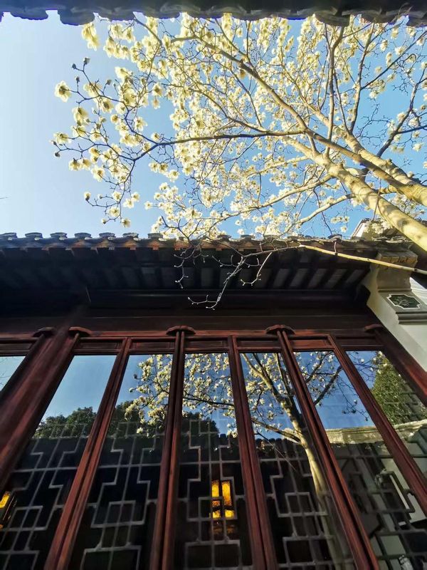 苏州书香府邸平江府