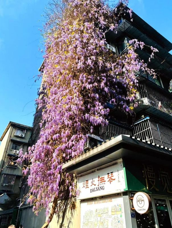 桔子酒店(成都蜀汉路东地铁站店)