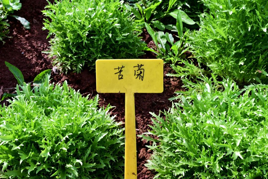 重庆龙轩大酒店