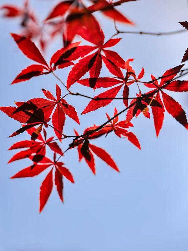 武汉楚河汉街洪山广场亚朵酒店