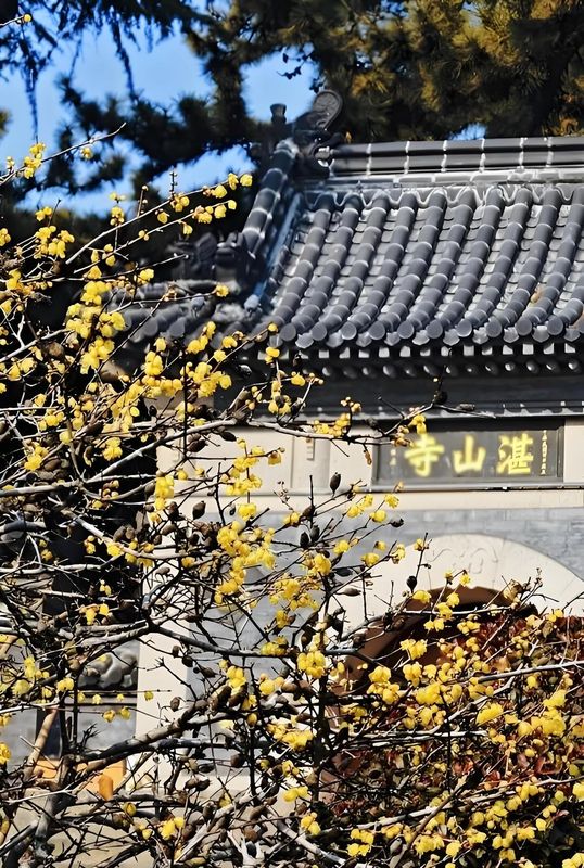 青岛览秀城海景桔子水晶酒店