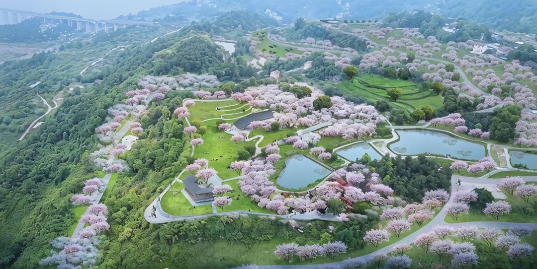 忠县忠义大酒店