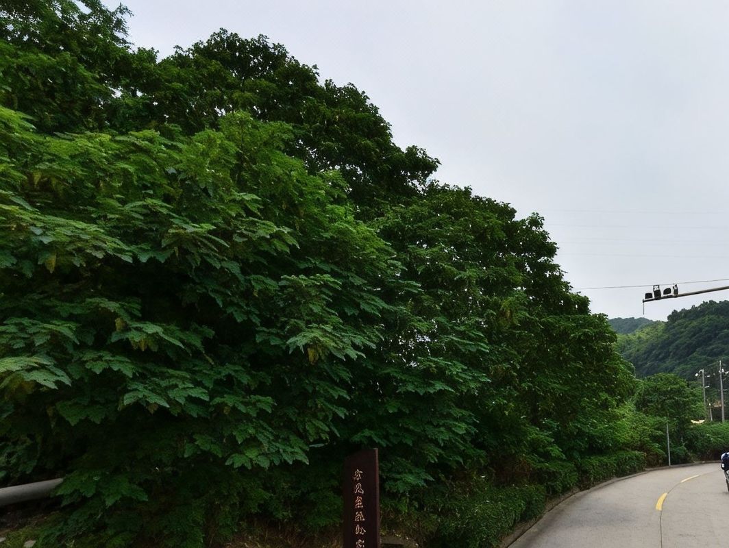 宁波戚家山宾馆