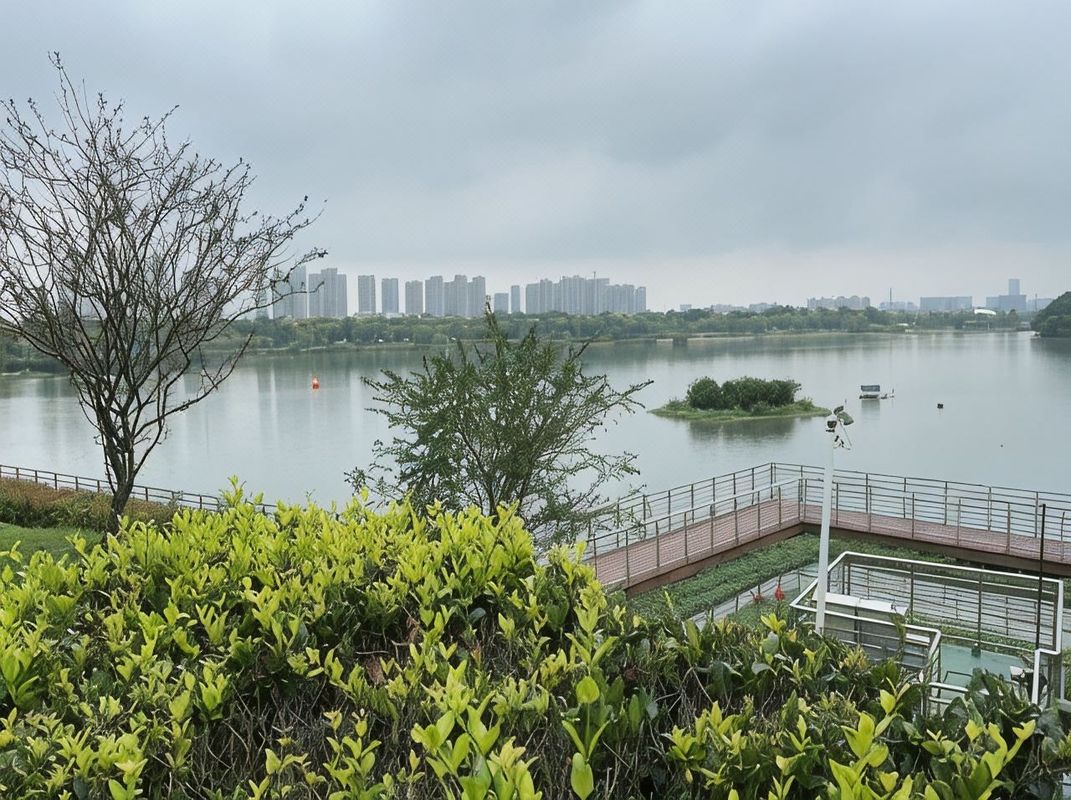 麗枫酒店(南京九龙湖国际企业总部园九龙湖地铁站店)